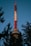 A tall telecommunications tower painted in red and white rises against a clear blue sky, partially framed by the silhouettes of evergreen trees.