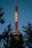 A tall telecommunications tower painted in red and white rises against a clear blue sky, partially framed by the silhouettes of evergreen trees.