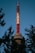 A tall telecommunications tower painted in red and white rises against a clear blue sky, partially framed by the silhouettes of evergreen trees.