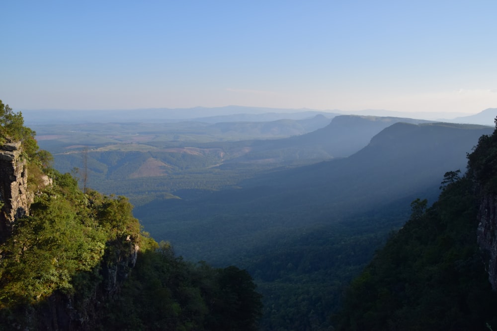 green trees on mountain under blue sky during daytime