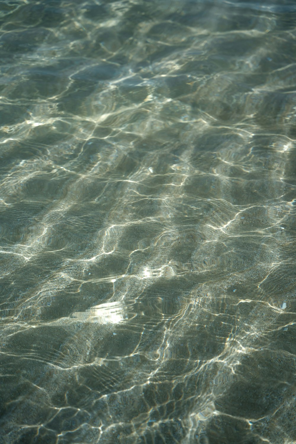 close up photo of body of water