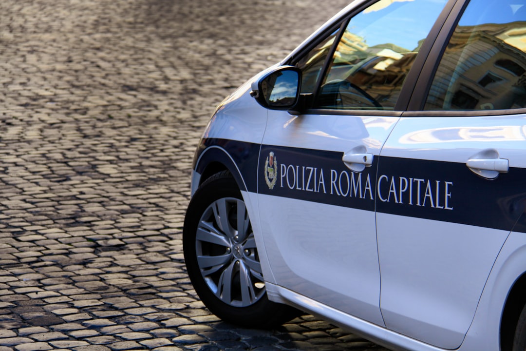 white and black car on brown brick road