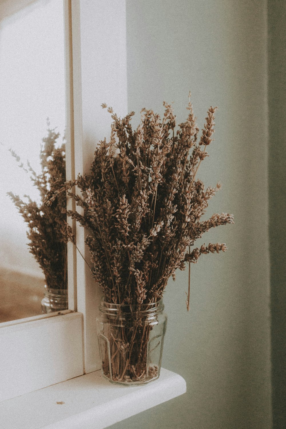 흰색 세라믹 꽃병에 갈색 식물