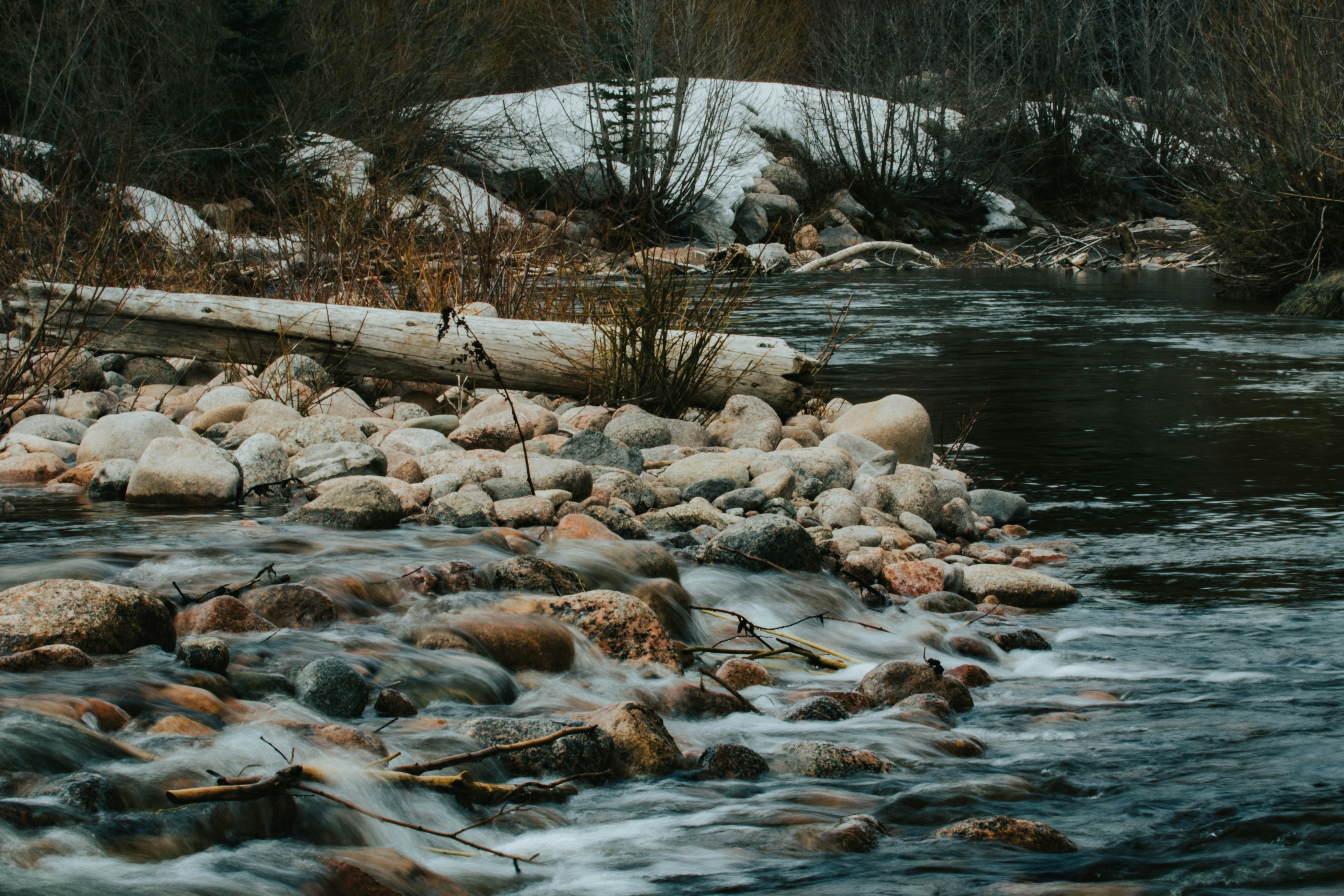 Photo by jakobnoahrosen