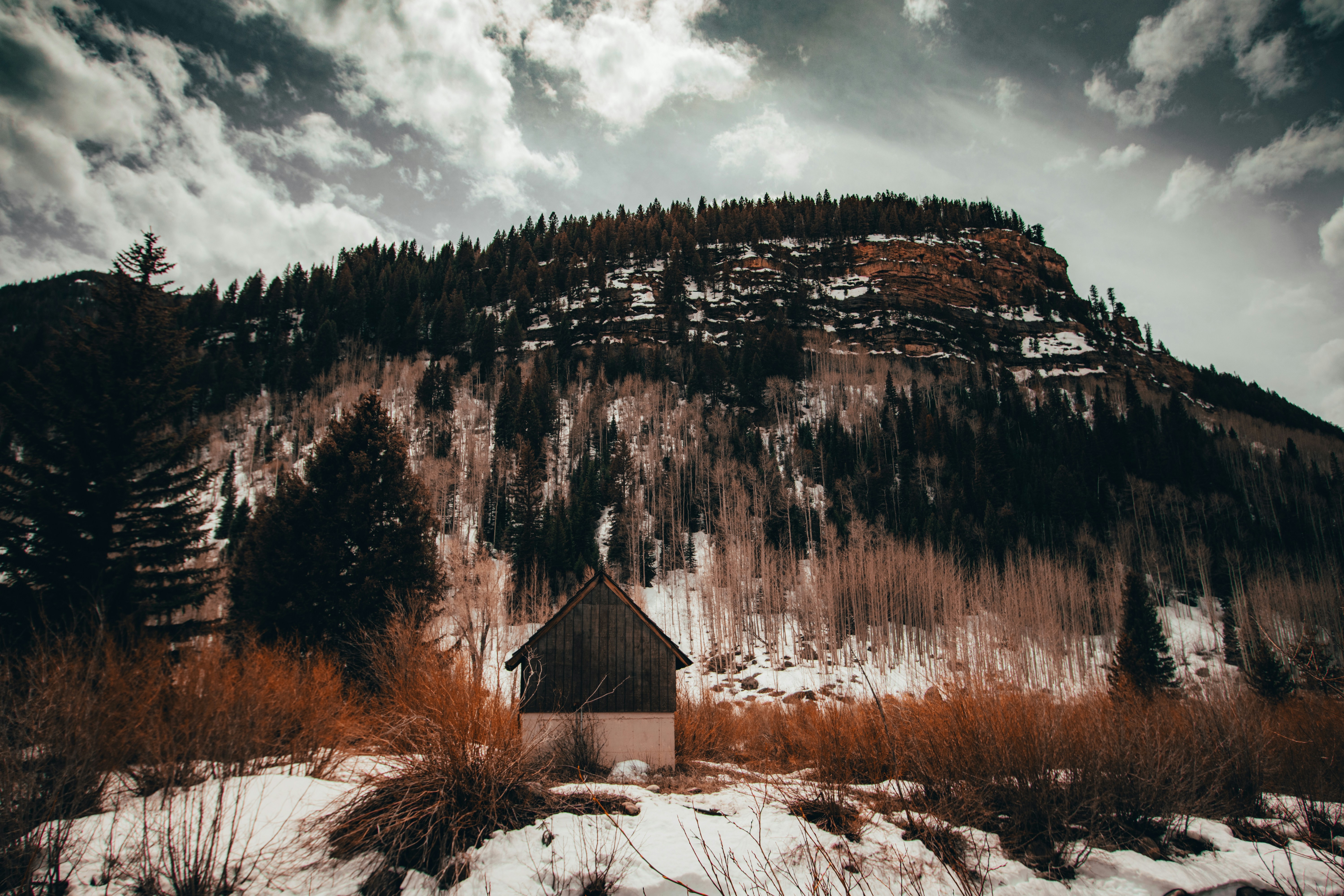 Photo by jakobnoahrosen