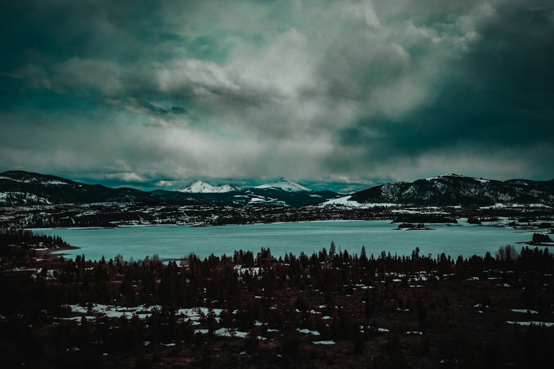 green trees near snow covered mountain during daytime