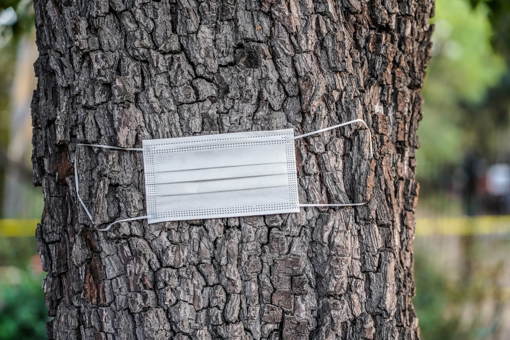 white paper on brown tree