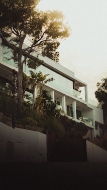 A modern white multi-level house surrounded by lush greenery with tall trees and various plants in the foreground. The design features large glass windows and clean architectural lines. The lighting appears to be natural with a soft, atmospheric glow.