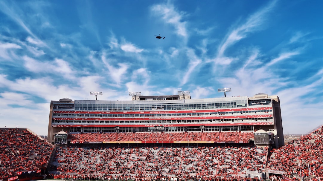 flock of birds flying over red and white stadium under blue sky during daytime