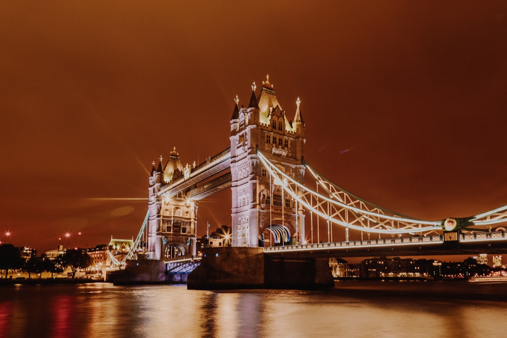 white and brown bridge during night time