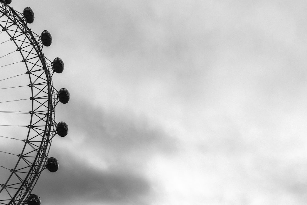 black and white photo of flock of birds