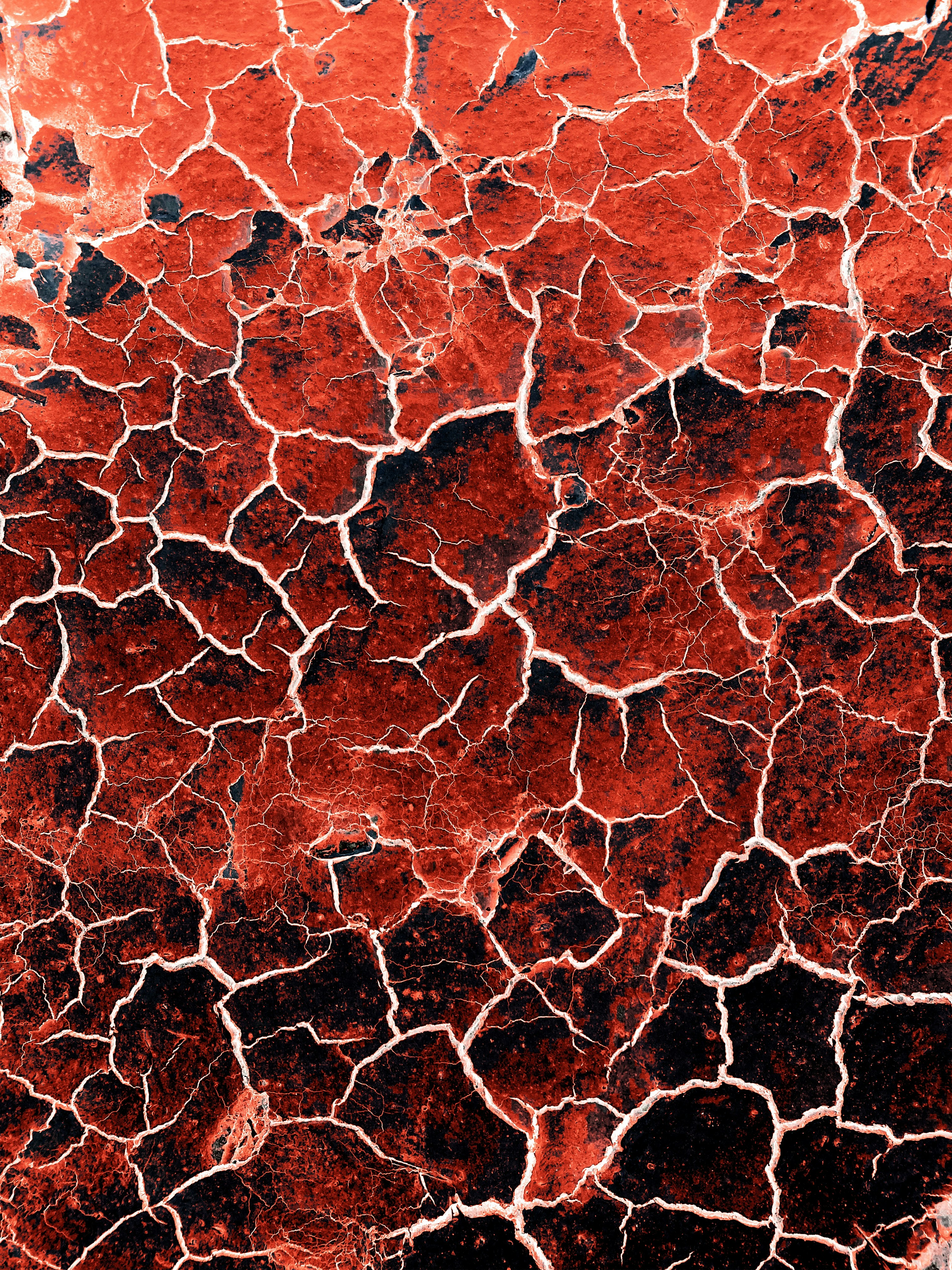 red and white abstract painting