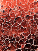 red and white abstract painting