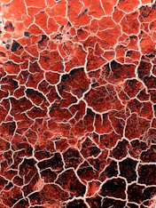 red and white abstract painting