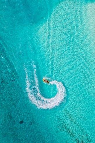 aerial view of green sea