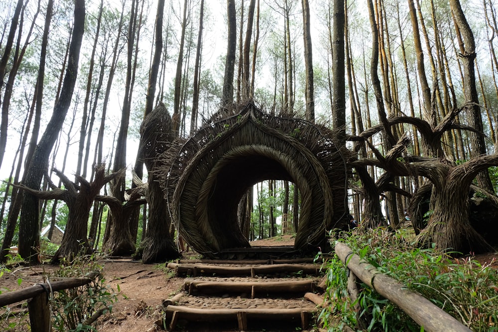 brown wooden arch in the woods