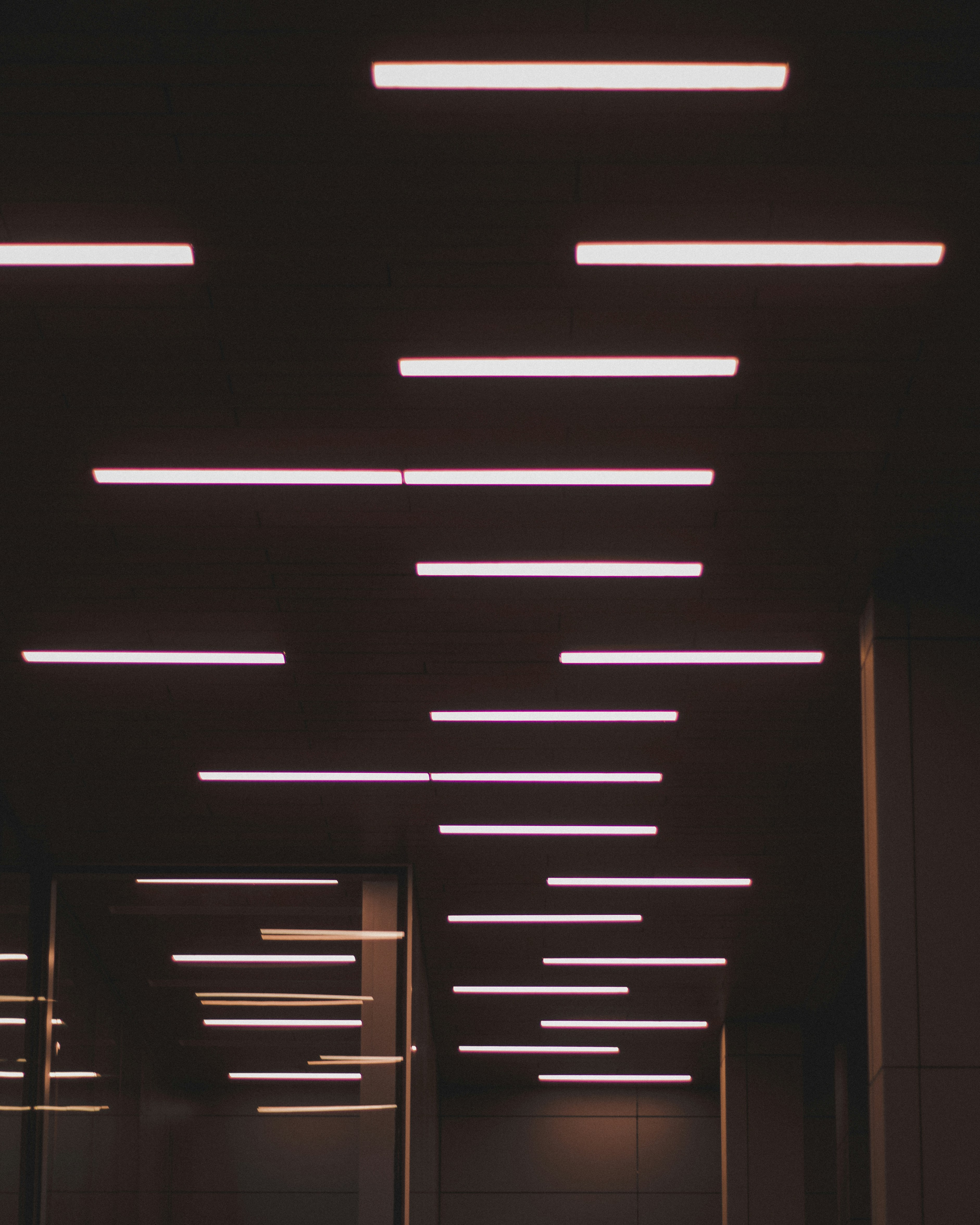 Photo by grahamwilson