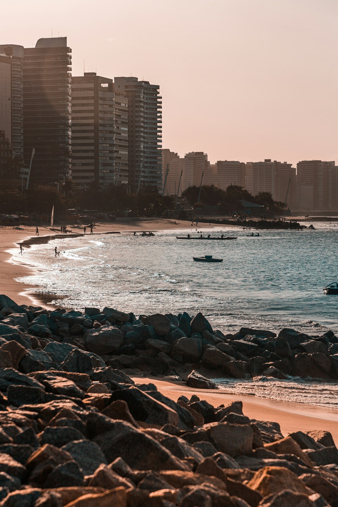 people on beach during daytime