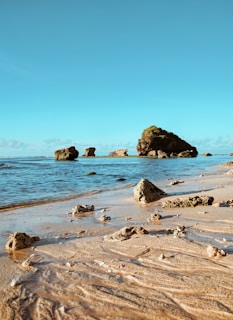 brown rock formation on sea shore during daytime