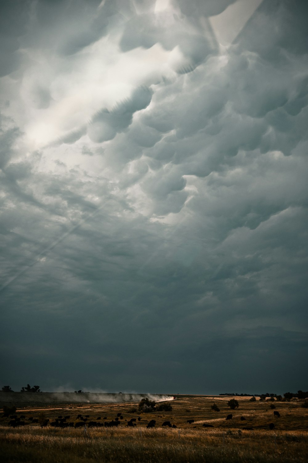 white clouds and blue sky