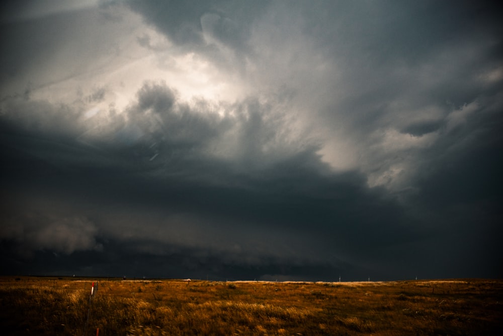 brown grass field under gray clouds