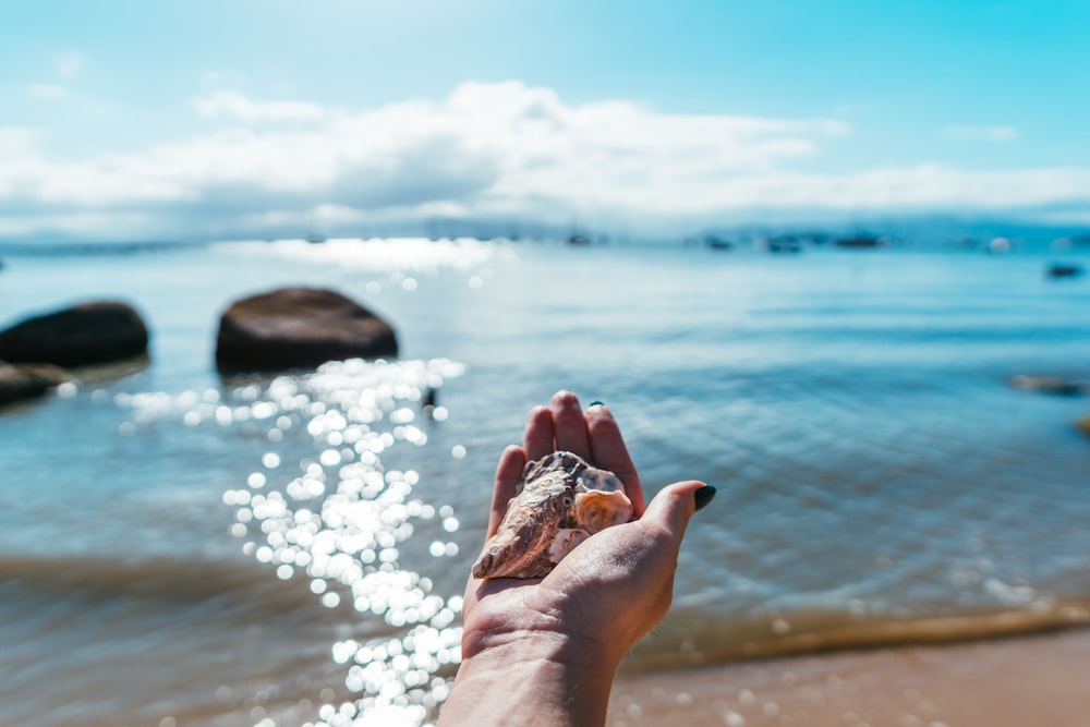 person holding brown and white stone near body of water during daytime