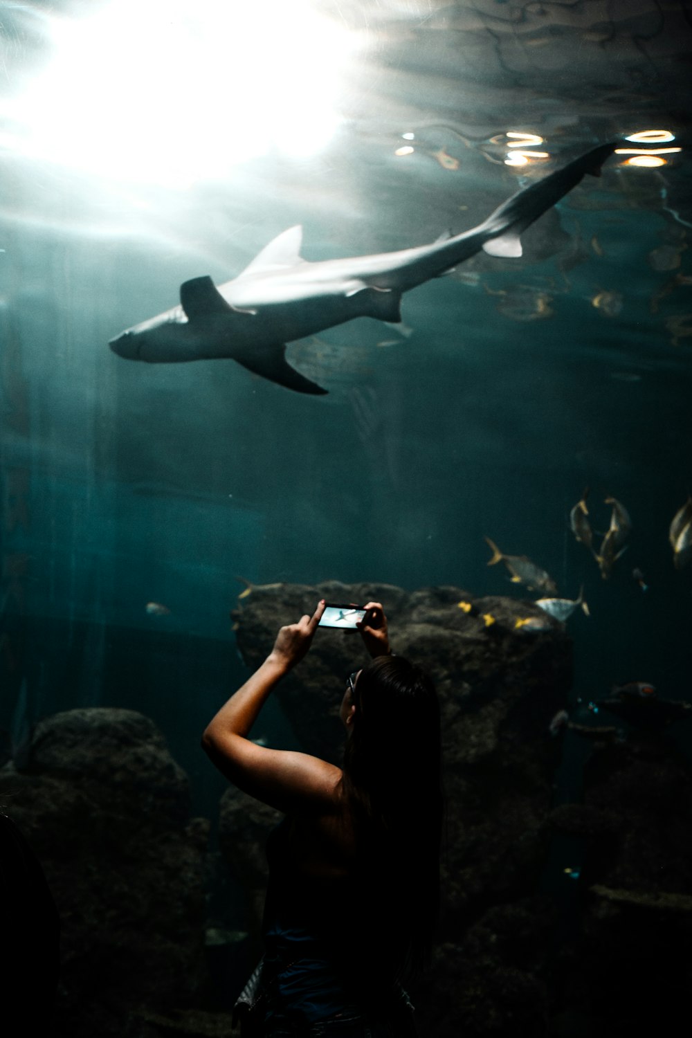woman in black tank top and black shorts in front of gray shark