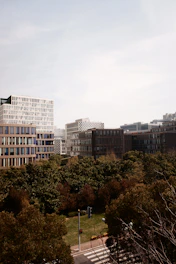 An urban cityscape showing modern corporate buildings with government offices nearby.