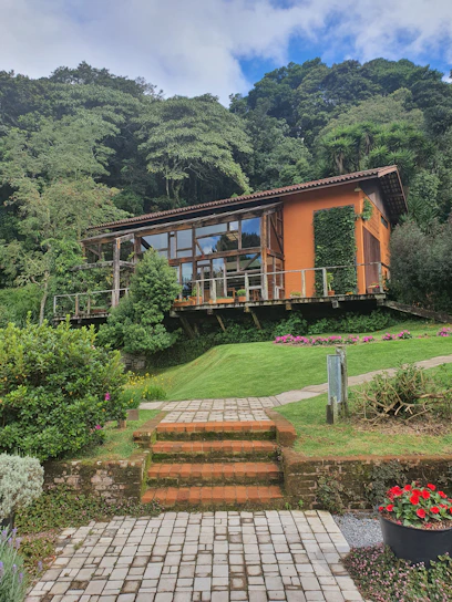 Modern wooden house with large windows surrounded by lush greenery in southern Chile.