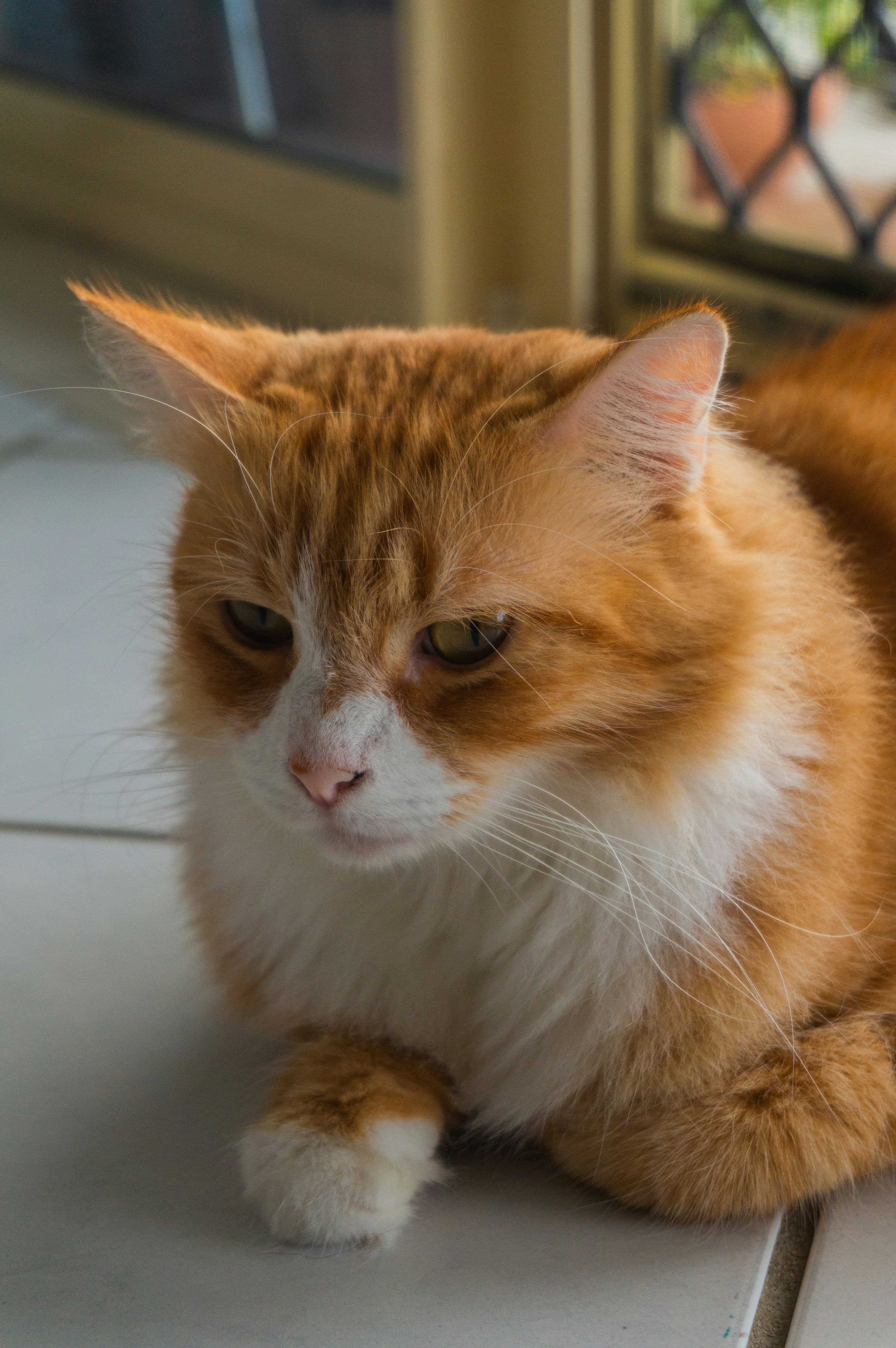 Photo by sammisamuel21