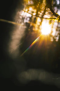 sun light on a dark room