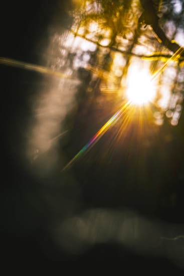 A bright sunbeam filters through tree branches, creating a lens flare effect with visible rays of light. The surroundings are blurred, emphasizing the sunlight and enhancing the dreamy, mystical atmosphere.
