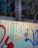 A corrugated metal fence displays vibrant graffiti in red, blue, and teal, with varying thickness and style. Behind the fence, leafless tree branches extend in front of a building with dark window panes reflecting the sky.