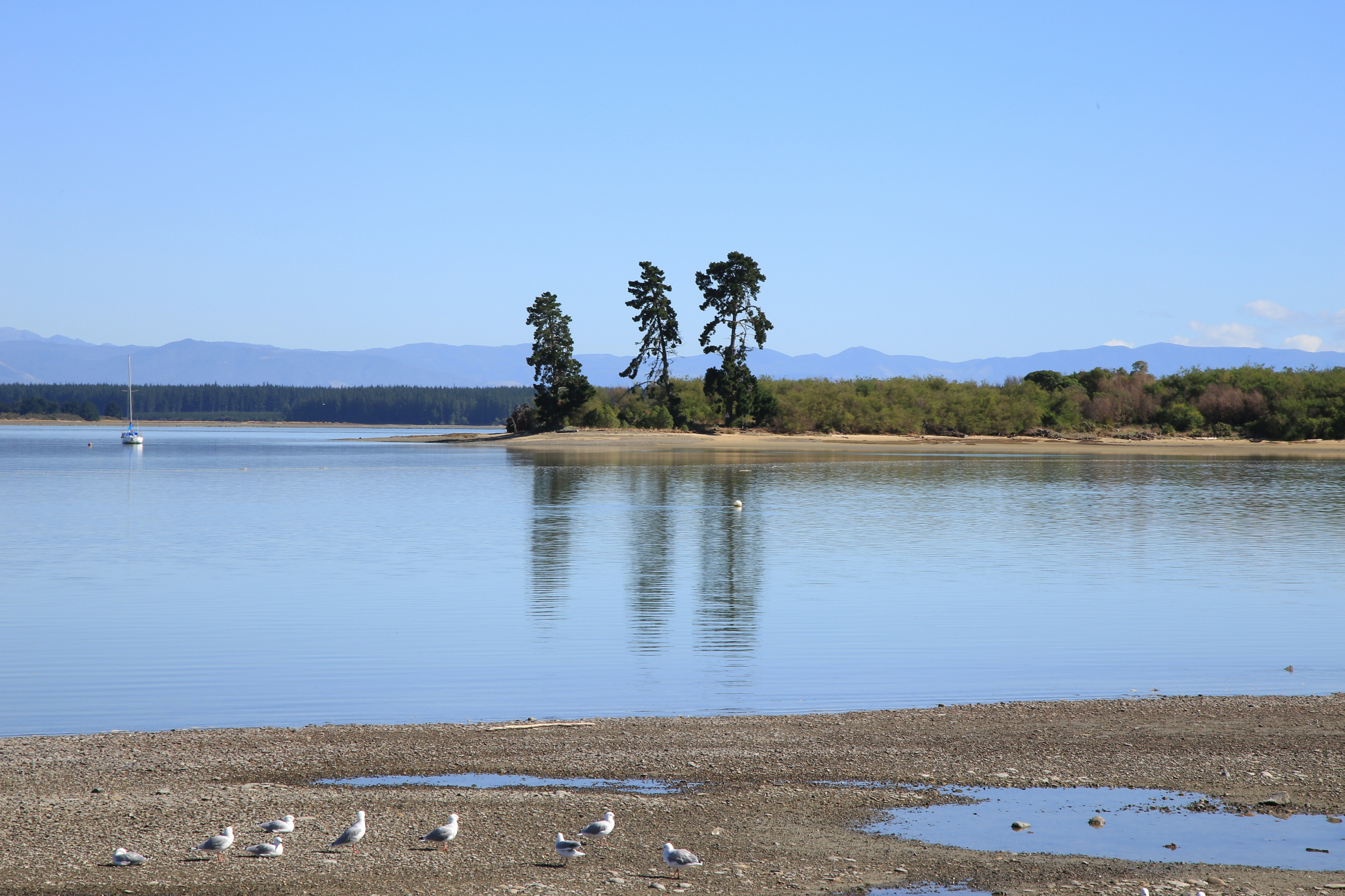 green trees near lake under blue sky during daytime