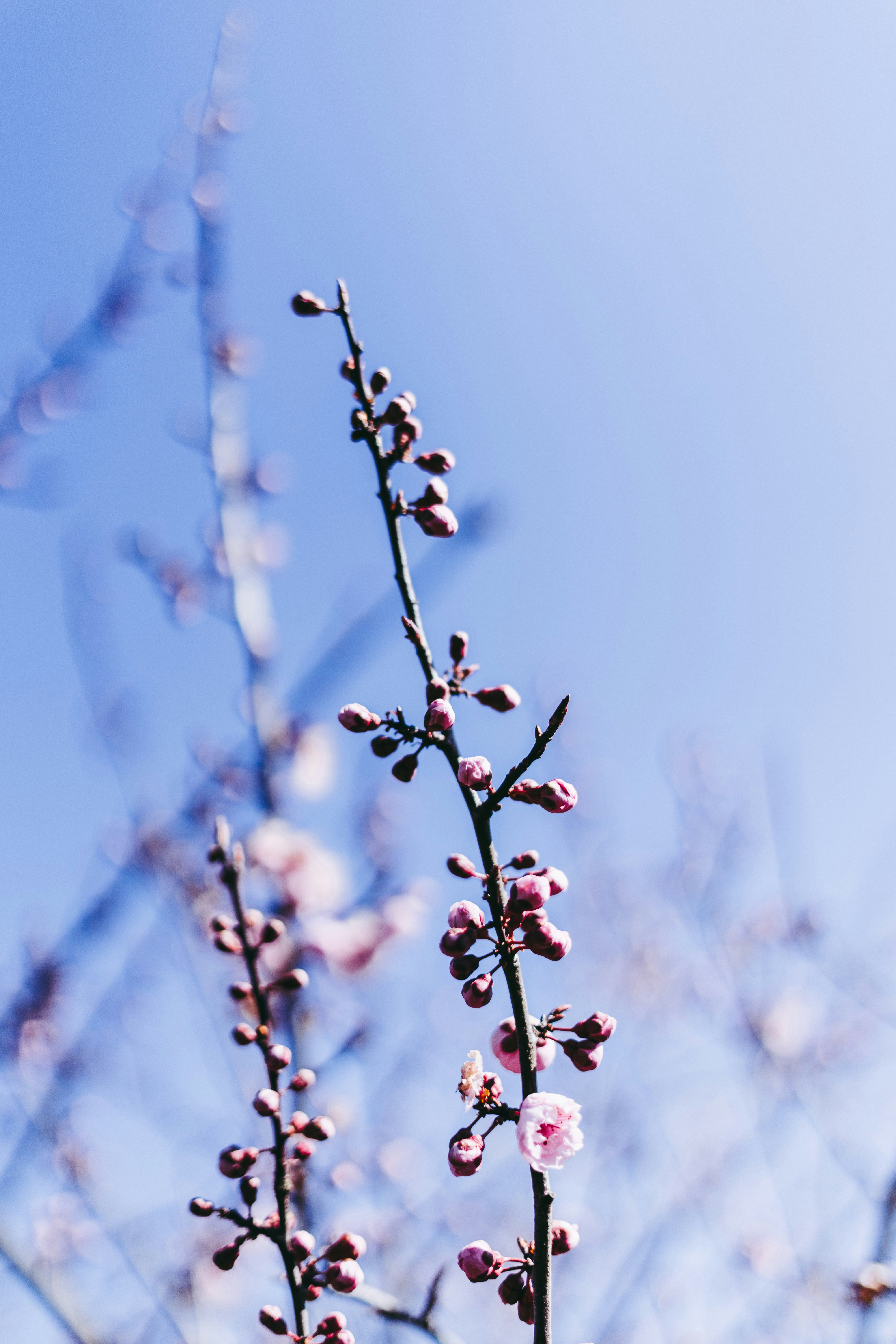 Photo by virussinside