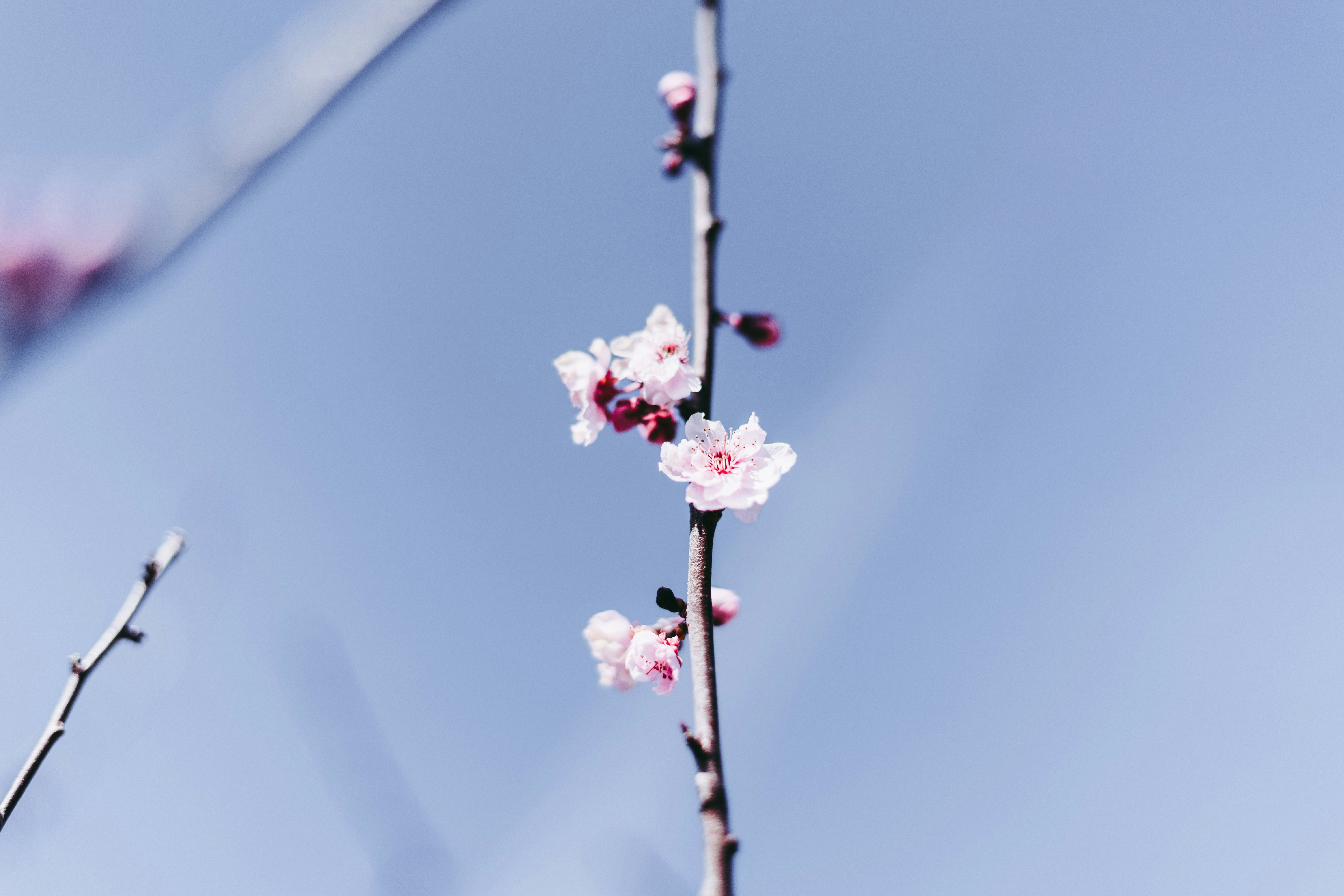 Photo by virussinside