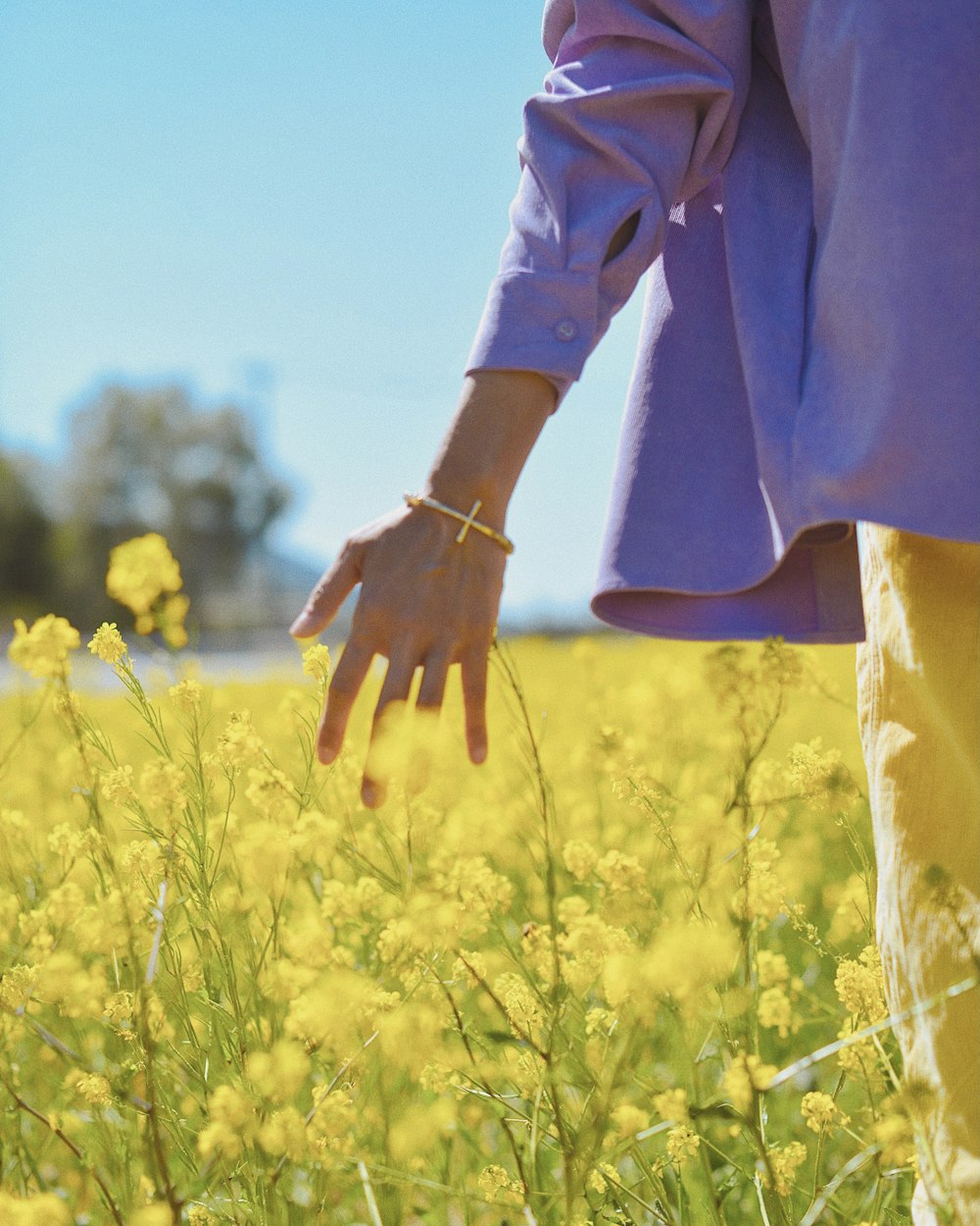 person in brown long sleeve shirt standing on yellow flower field during daytime