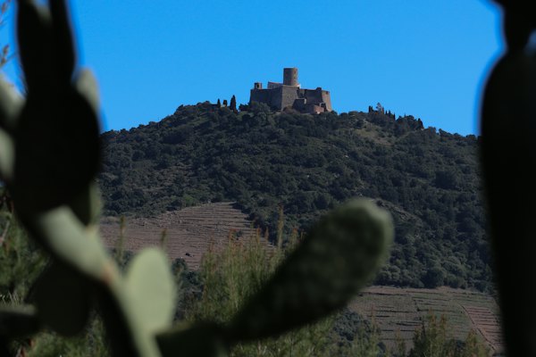 The fort on the hill above the town — Collioure, France
