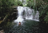 A refreshing natural waterfall with clear water perfect for a peaceful swim.