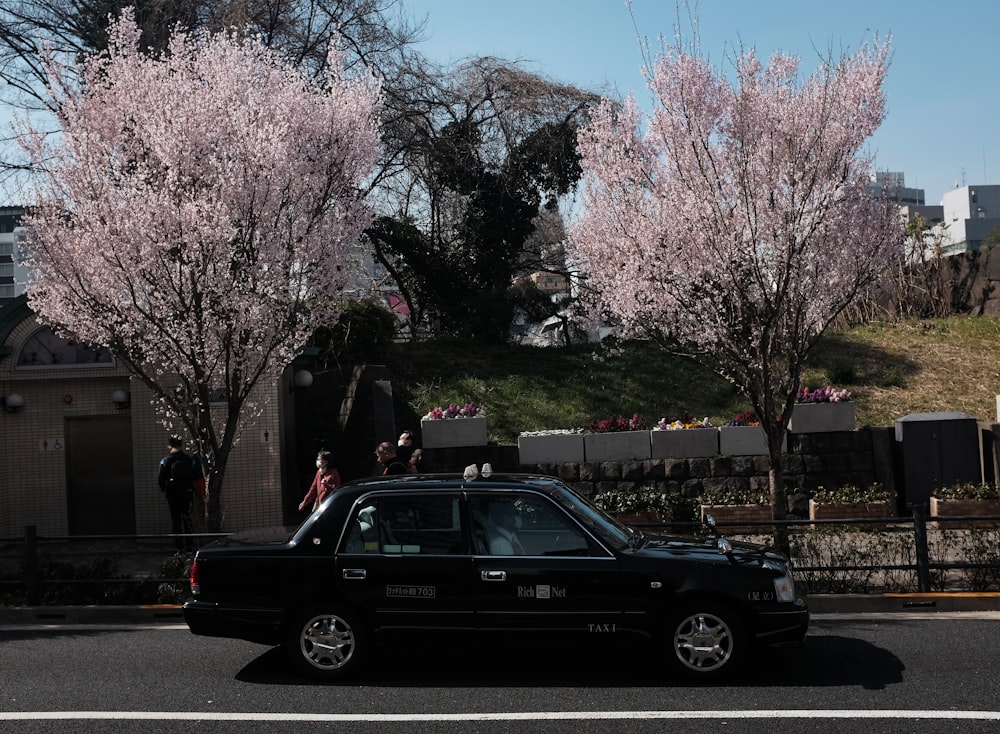black sedan on road near pink cherry blossom trees during daytime
