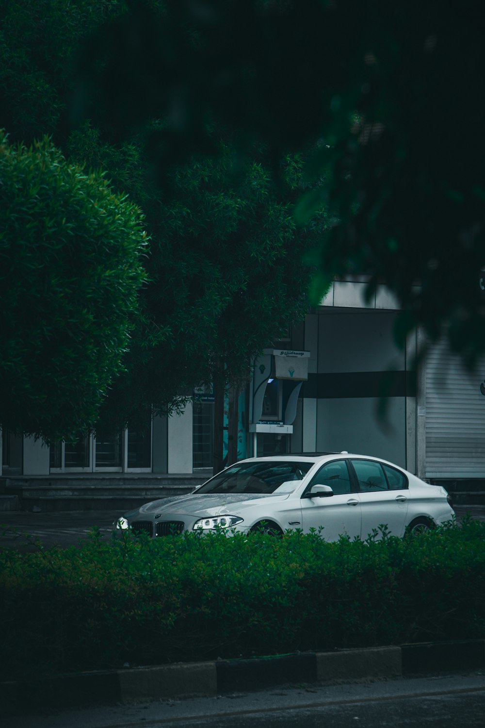 Weiße Limousine tagsüber in der Nähe grüner Bäume geparkt