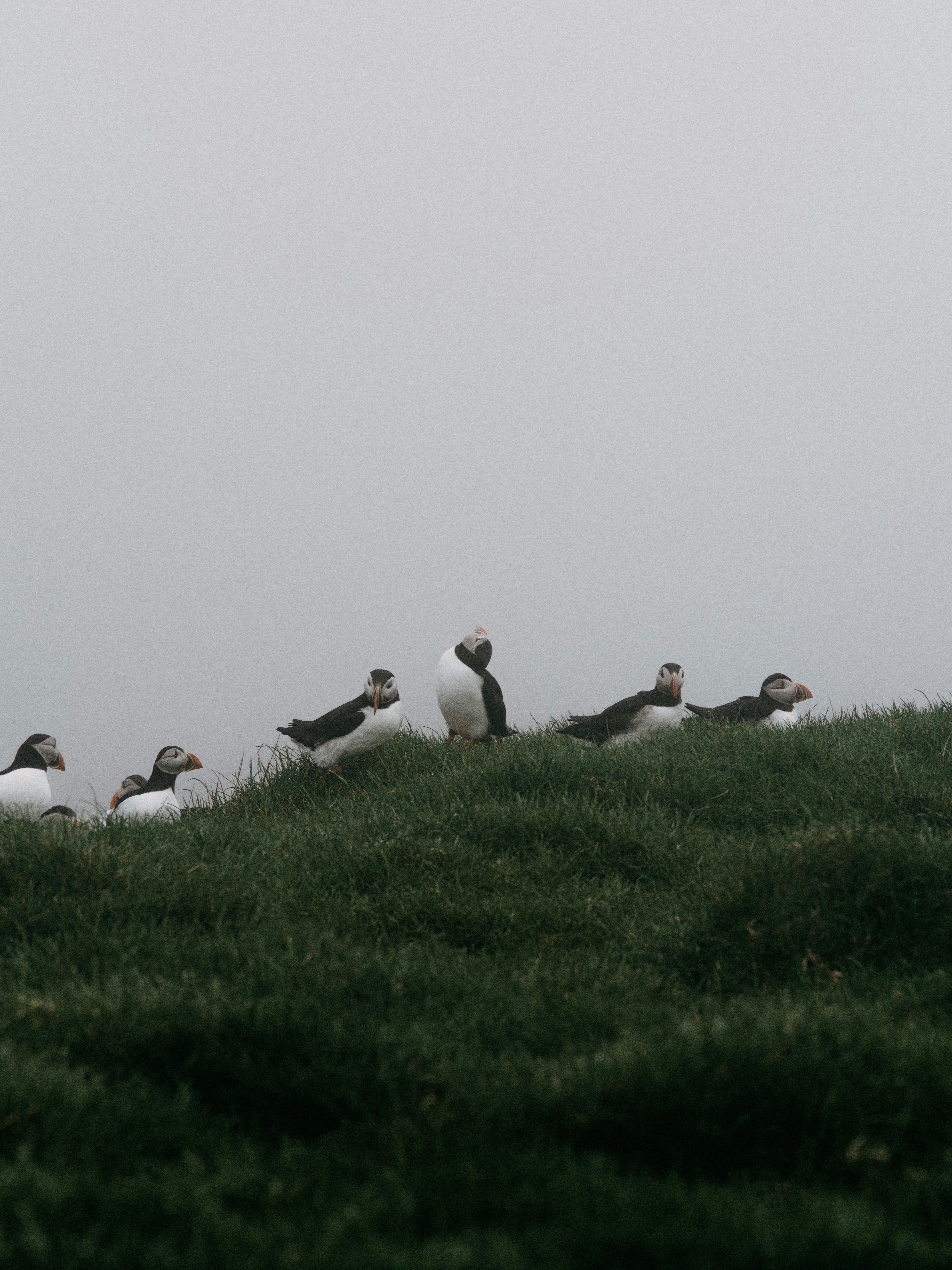 Photo by anniespratt