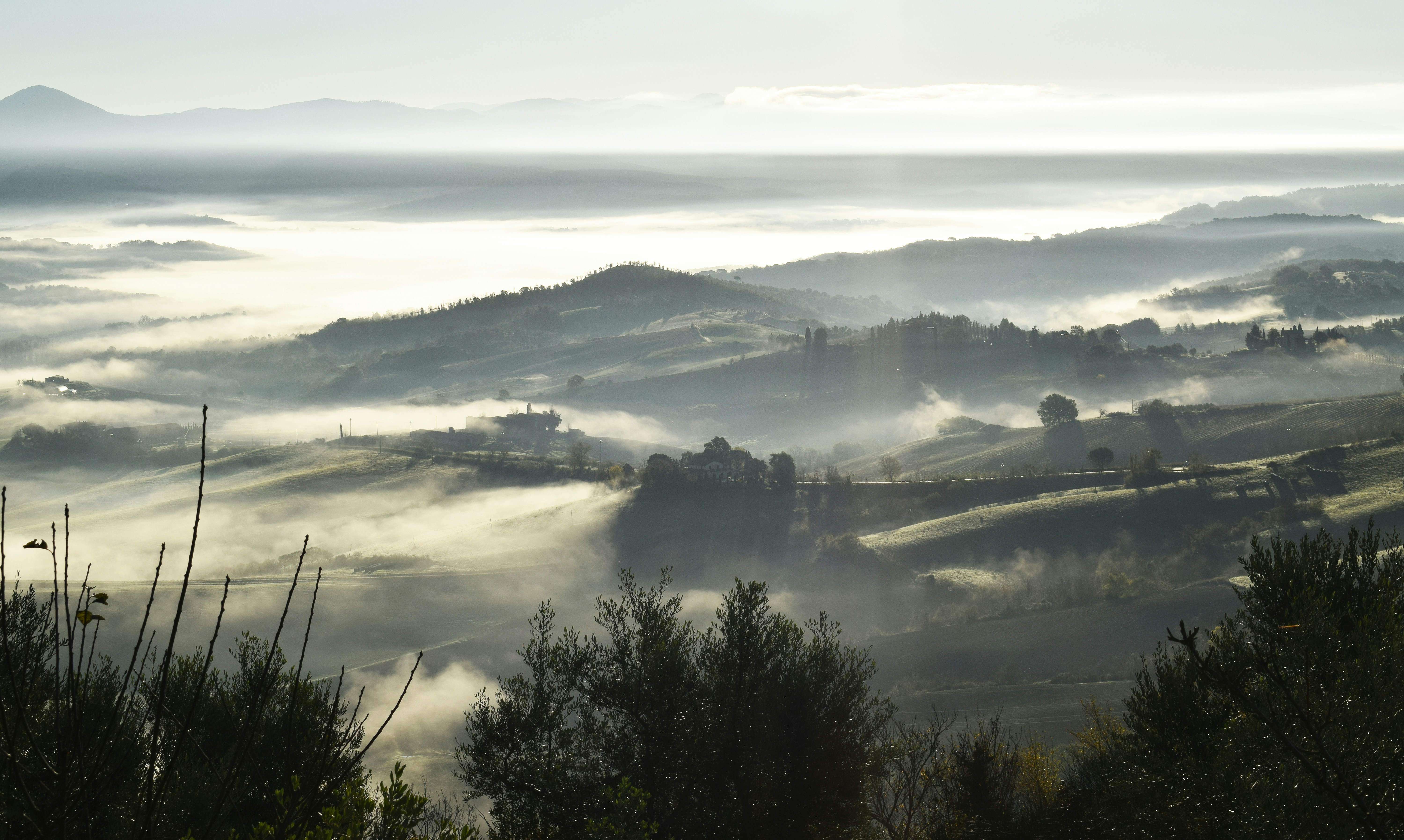 Green trees near body of water during daytime
