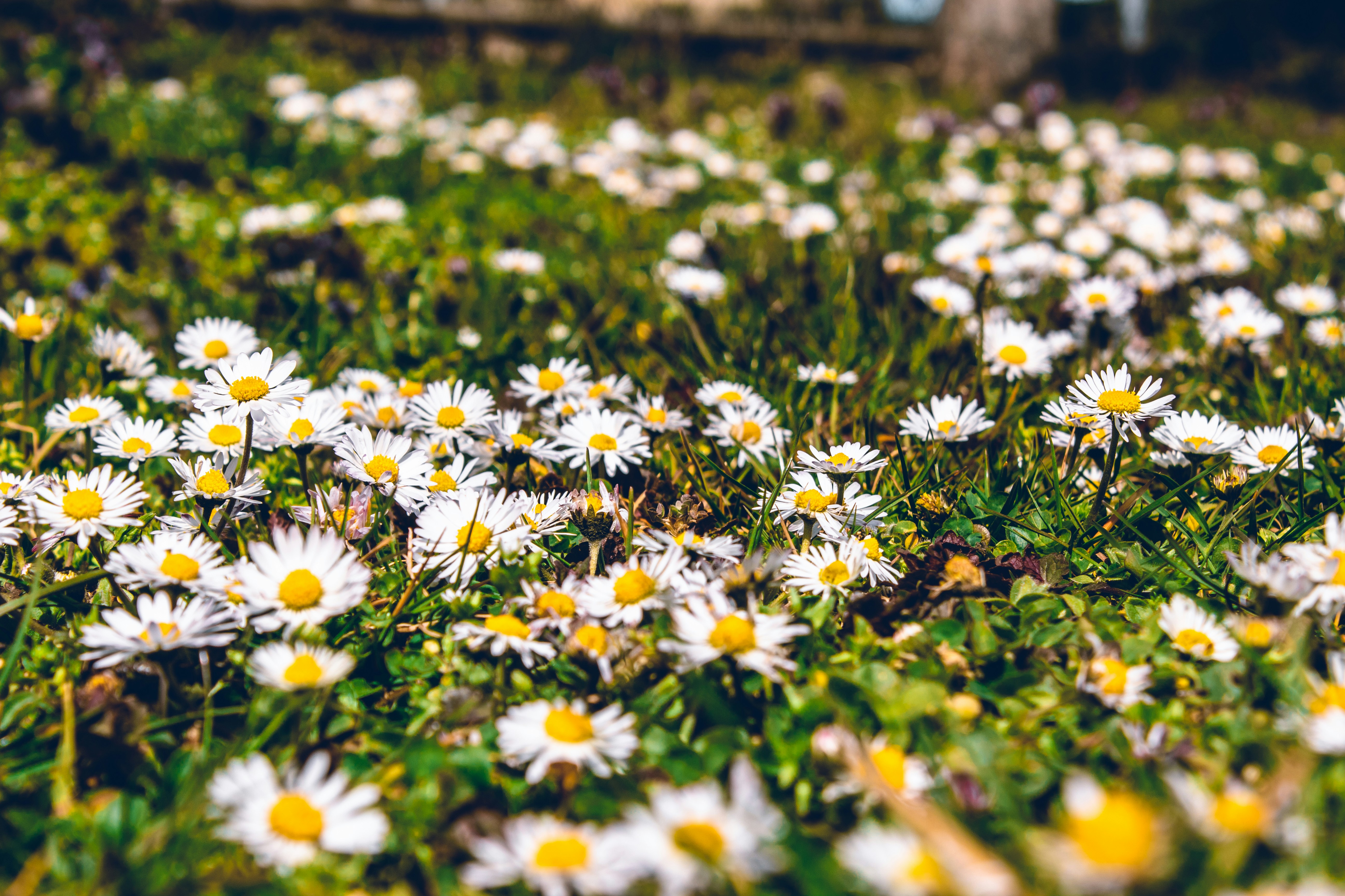 Photo by jakubislav