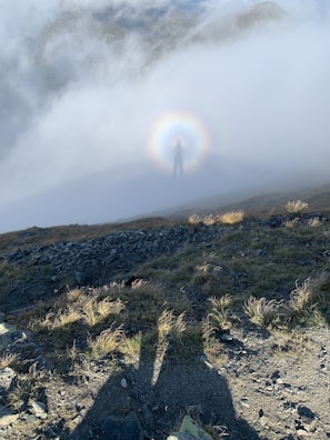 A shadowy figure of a mythical creature lurking in the mist.