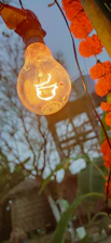 A glowing incandescent light bulb is prominently featured with intricate detail, surrounded by vibrant orange marigold flowers. In the background, bare branches of a tree and part of a wooden structure are visible, creating a contrast against the warm glow of the bulb.