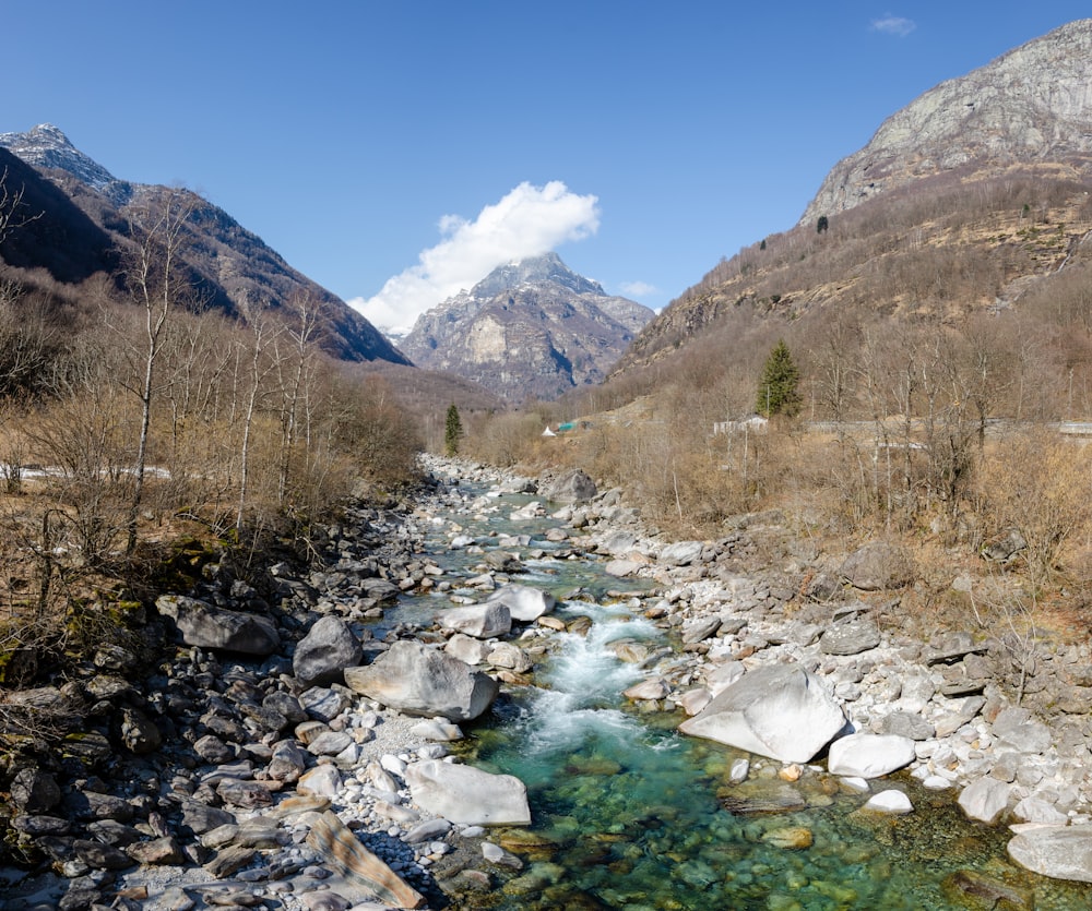 brown and green mountains under blue sky during daytime