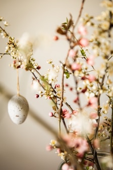 white round ornament on brown stem
