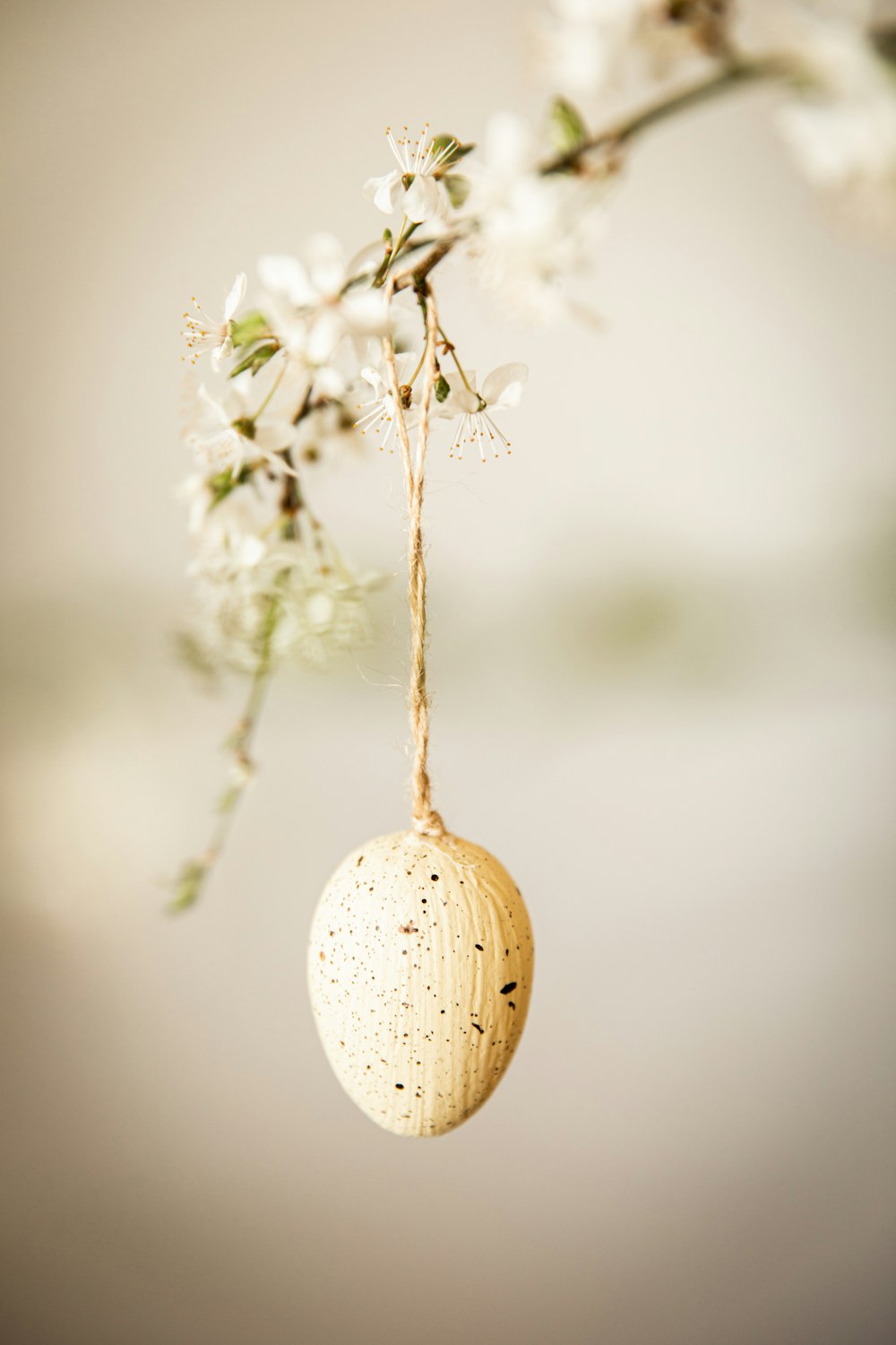 white round ornament on green plant