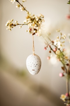 white flower in tilt shift lens
